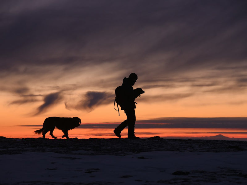 Hiker and dog at sunset