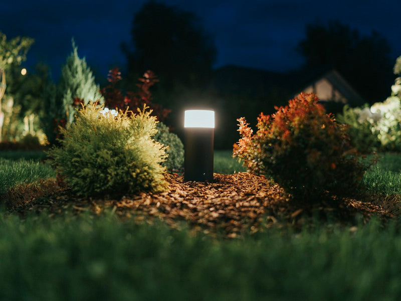 Path light glowing in a garden at night