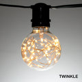 Sival G80 Globe 25 LEDs Fairy TWINKLE Bulb, Glass, 1.1W - (Medium Base/E27), 50-Pack