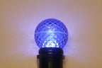 Sival LED G50 Globe Faceted Plastic Bulb, 10 LEDs, 1.5W, E27 Medium Base, Sun Warm White, 250-Pack