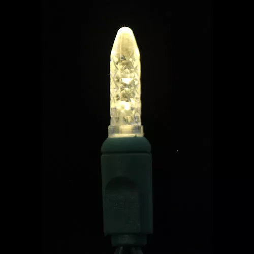 LED 70LT M6, 4" spacing, 23.7', green cord, UL, warm white b