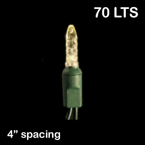 Sival LED 70LT M6 Light String - Green Wire (s), Cool White, 24-String Pack