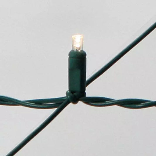 LED Net Light, 4' x 6', 100 Polka Dot bulbs, green cord, war