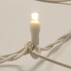 Sival LED Christmas/Wedding Net Lights Polka-Dot (5mm) - White Wire with Warm White Bulbs (s), 12-String Pack