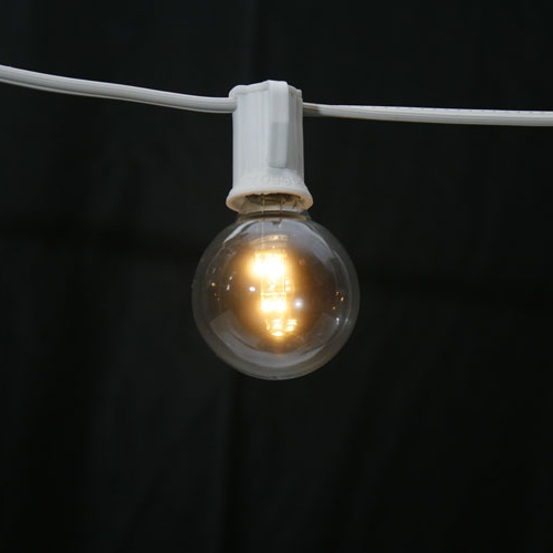 Sival LED G40 Globe Bulb, Glass, Warm White, 0.6W - (Candelabra Base/E12), 250-Pack