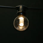 Sival LED Premium G40 Globe Glass Party Bulb, 2 SMD LEDs, 0.8W, Warm White (2700K), E17 Intermediate Base, 250-Pack