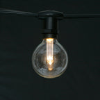 Sival LED Premium G40 Globe Glass Party Bulb, 1 SMD LED, 0.8W, Warm White (2700K), E12 Candelabra Base, 25-Pack