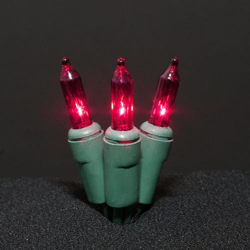Sival Minilights with 50 Lights, 5" spacing - Green Wire (s), 1-String Pack