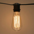 Sival ATQST181325 antique Edison squirrel cage filament bulb 25W E27 clear